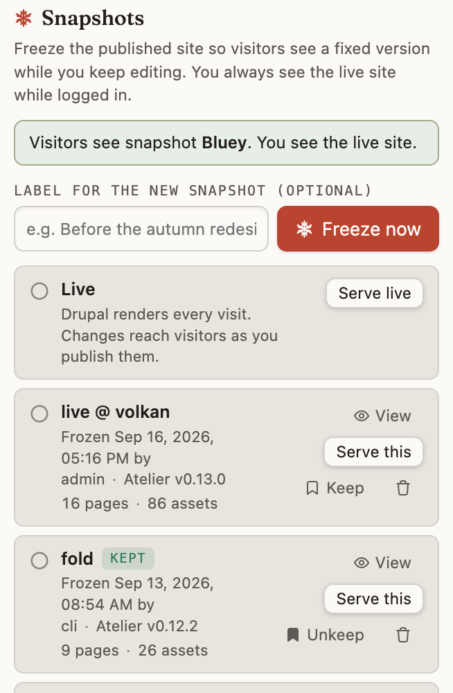 Atelier's Snapshots panel: a notice reading “Visitors see snapshot Bluey. You see the live site.”, a Freeze now button with an optional label field, and a list beginning with a Live row, then saved versions showing when each was frozen and how many pages and images it holds.